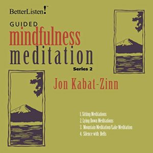 Audiolibro Guided Mindfulness Meditation Series 2