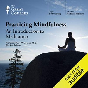 Audiolibro Practicing Mindfulness: An Introduction to Meditation
