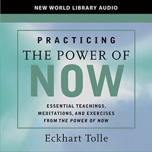 Audiolibro Practicing the Power of Now
