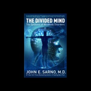 Audiolibro The Divided Mind