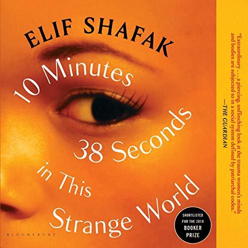 Audiolibro 10 Minutes 38 Seconds in This Strange World