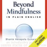 Audiolibro Beyond Mindfulness in Plain English