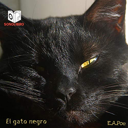 Audiolibro El gato negro