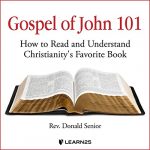 Audiolibro Gospel of John 101: How to Read and Understand Christianity's Favorite Book