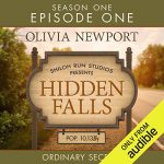 Audiolibro Hidden Falls: Ordinary Secrets