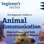 Audiolibro The Beginner's Guide to Animal Communication