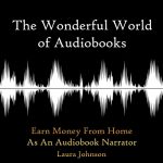 Audiolibro The Wonderful World of Audiobooks