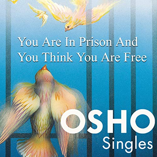 Audiolibro You Are in Prison and You Think You Are Free
